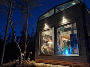 Holiday Home Levi secret igloo revontuli 10d by Interhome